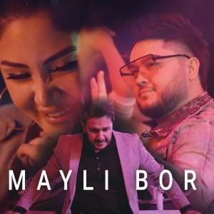 Mayli bor Klip haqida