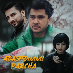 Adashdimmi, Parcha kliplari haqida!
